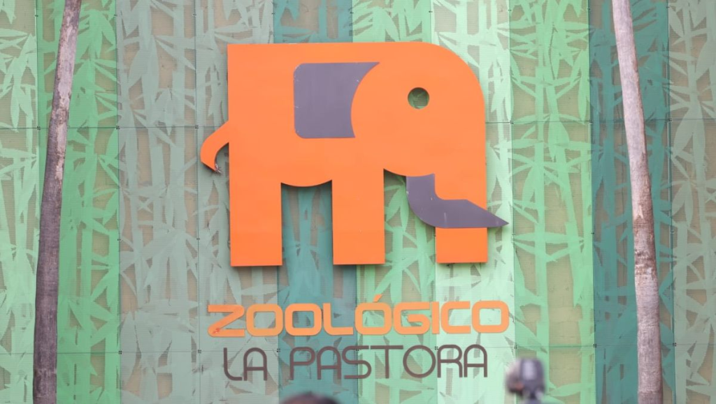 Image - Los Industriales Claudia Tapia Presentará Una Denuncia Penal Por El Saqueo De Animales En La Pastora, Responsabilizando Al Gobierno Estatal Y a Samuel Por Las Irregularidades.