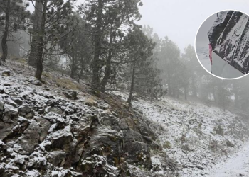 Nieve En Galeana - Los Industriales