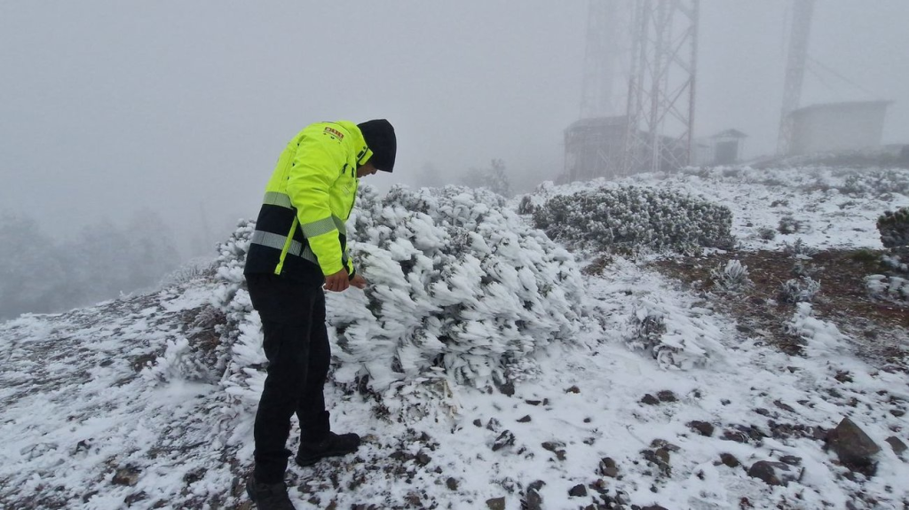 Image - Los Industriales La Nieve En Galeana Cubrió El Cerro Del Potosí Tras El Frente Frío 27, Provocando Bajas Temperaturas Y Operativos Preventivos En Zonas Serranas.