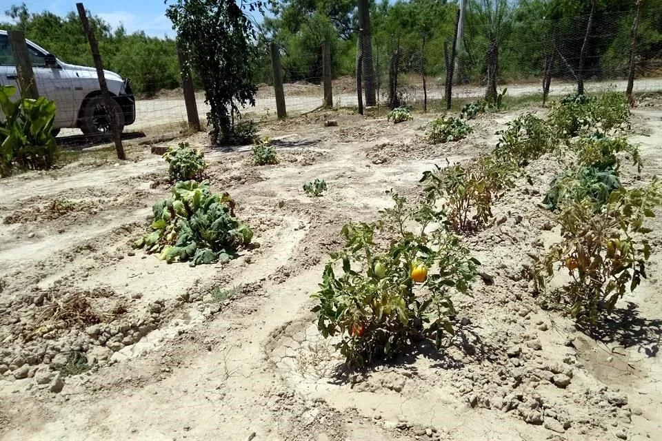 Image - Los Industriales La Sequía En Nuevo León Se Duplicó Al Inicio De 2026, Afectando a 13 Municipios, Mientras El Desfogue Estatal De El Cuchillo Agrava El Panorama Hídrico.