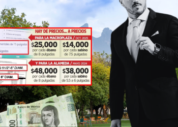 Árboles En La Alameda Con Sobrecosto - Los Industriales