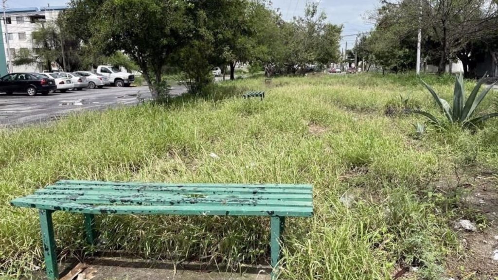 Overgrown Grassy Park with a Weathered Green Bench in the Foreground; Cars and Buildings in the Background. - Los Industriales