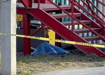 Vendedor De Pan Atropellado En Apodaca - Los Industriales