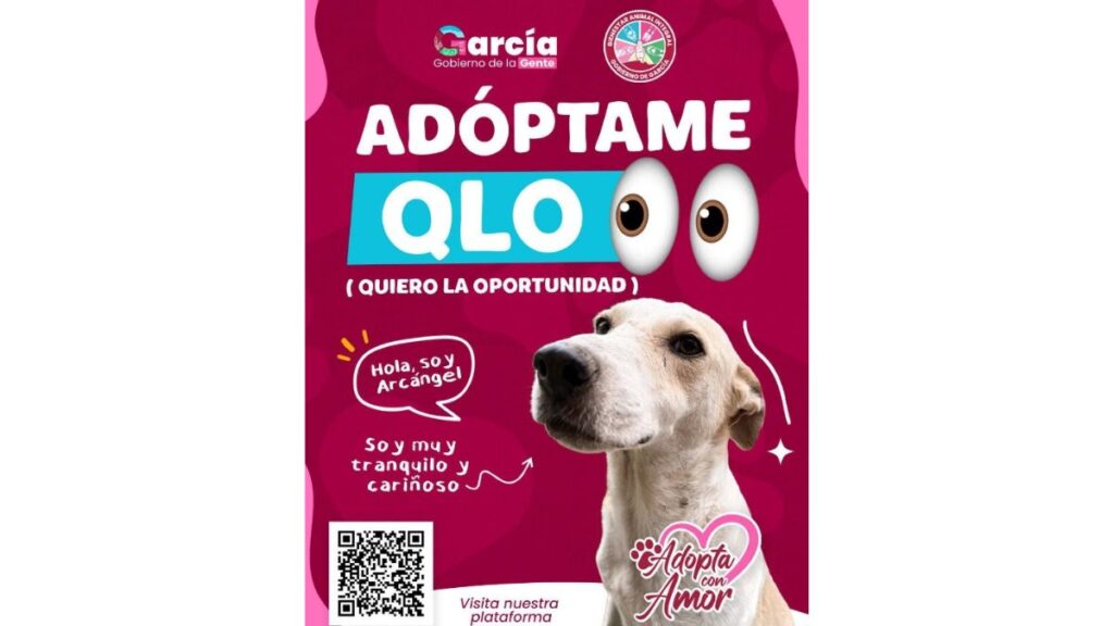 _alcalde-manuel-guerra-cavazos - Los Industriales Campaña De Adopción García - Los Industriales