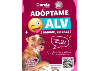 Campaña Adóptame Alv - Los Industriales